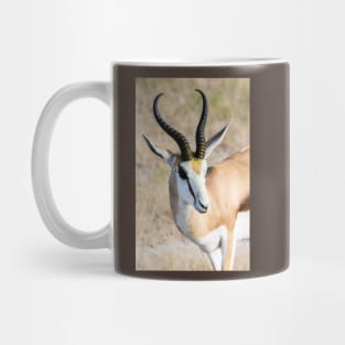 Springbok. Mug